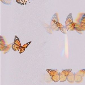 Meet your Posher, Ella